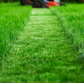 Rubbish removal Concord