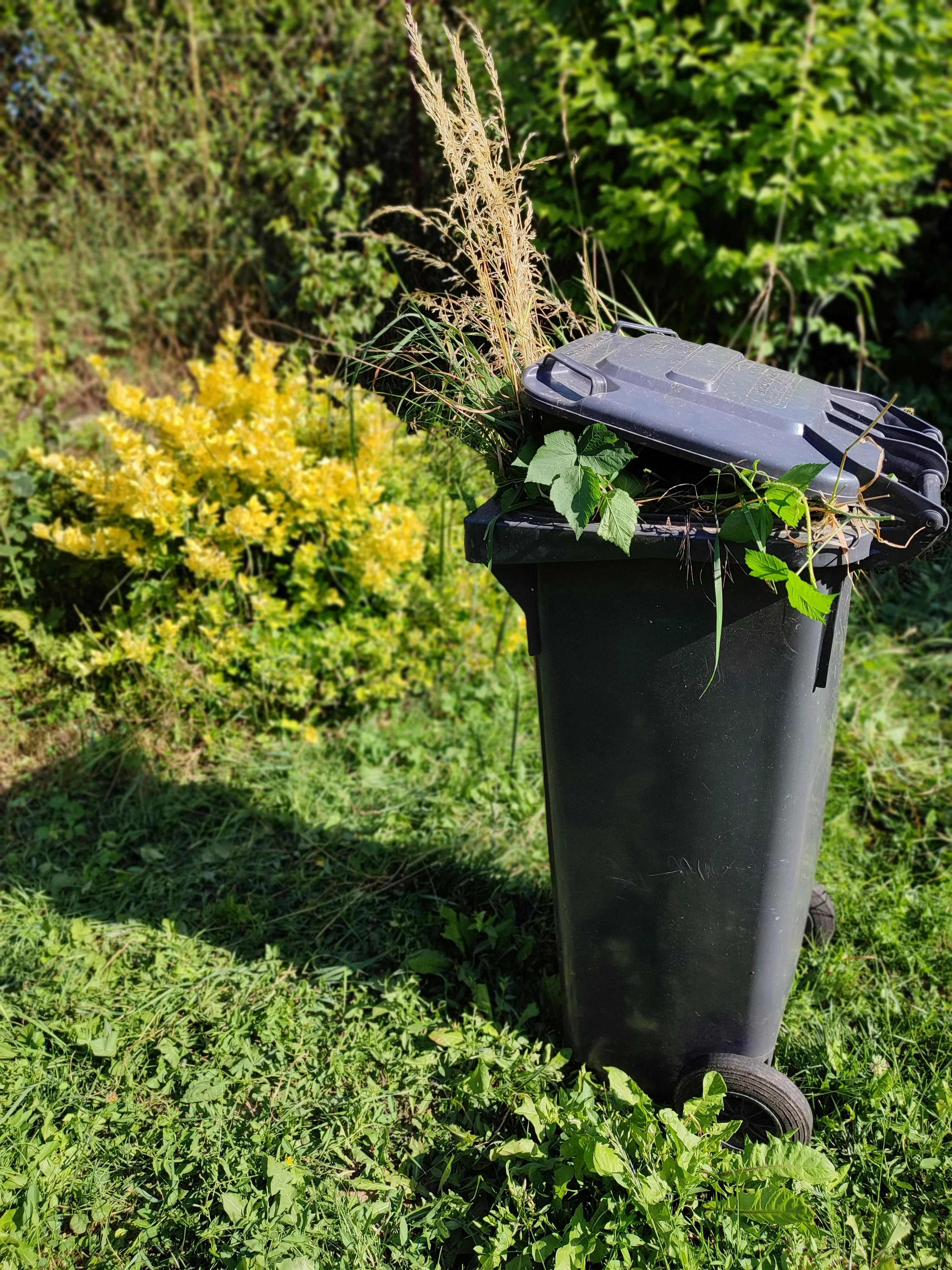 Council compliant garden waste removal Strathfield