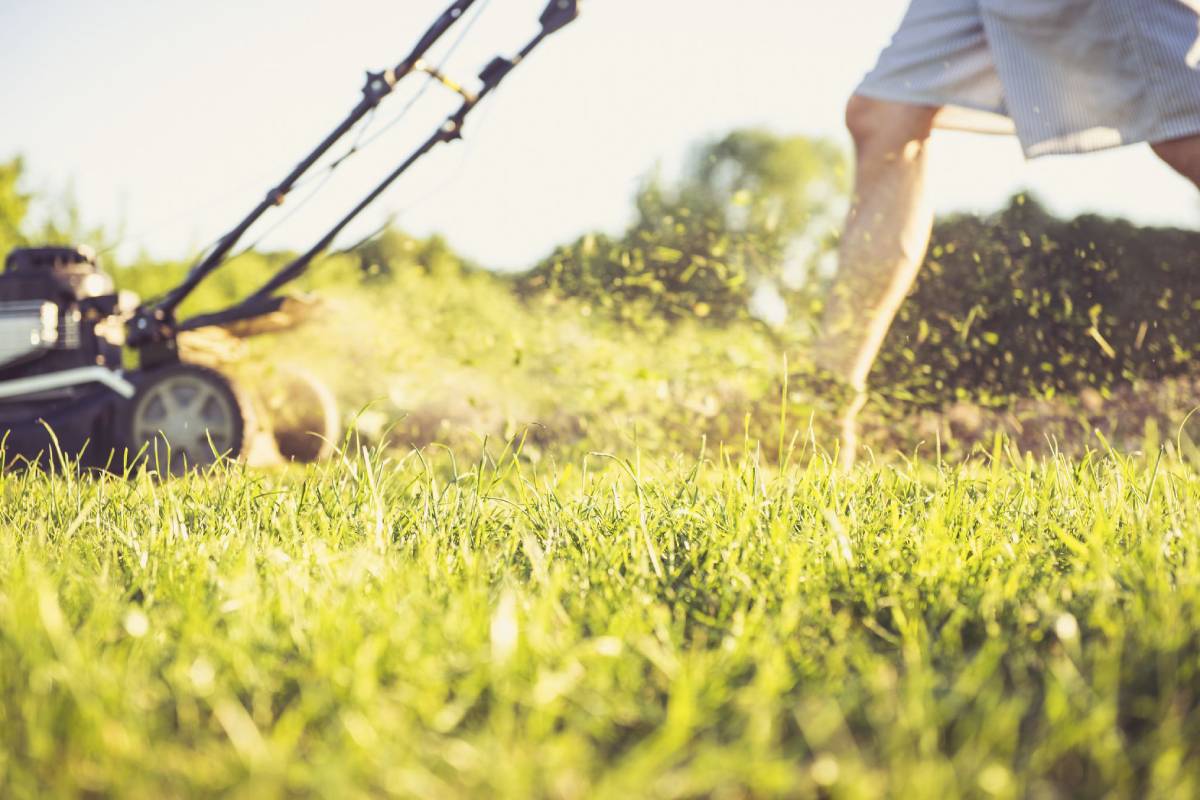 Weed spraying Sydney garden bed spot treatment