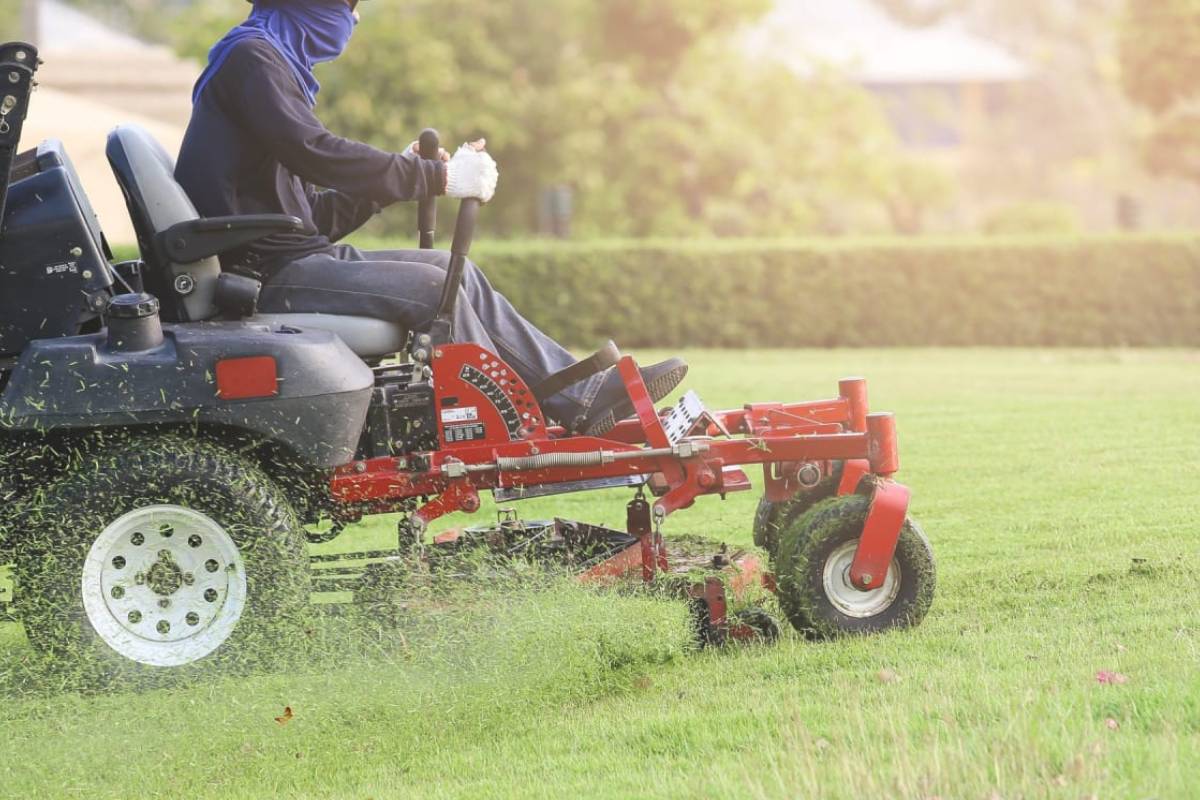Weed removal Sydney hand weeding garden clean-up