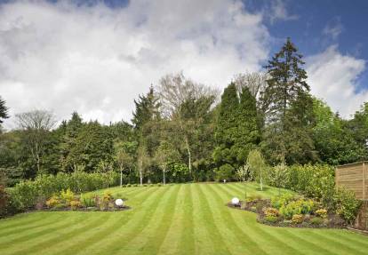 Weed removal Sydney garden bed clean-up