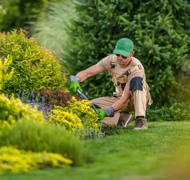 Gardening services in Sydney - planting and garden care