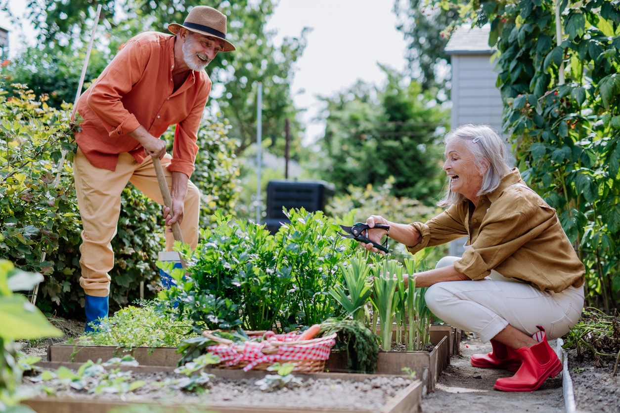 NDIS lawn mowing and garden care for independent living