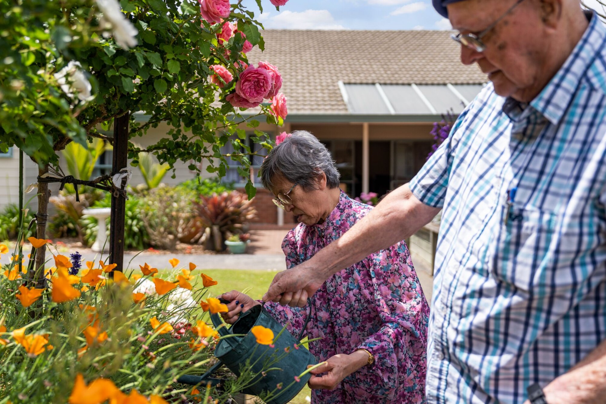 Professional ndis lawn mowing sydney for seniors
