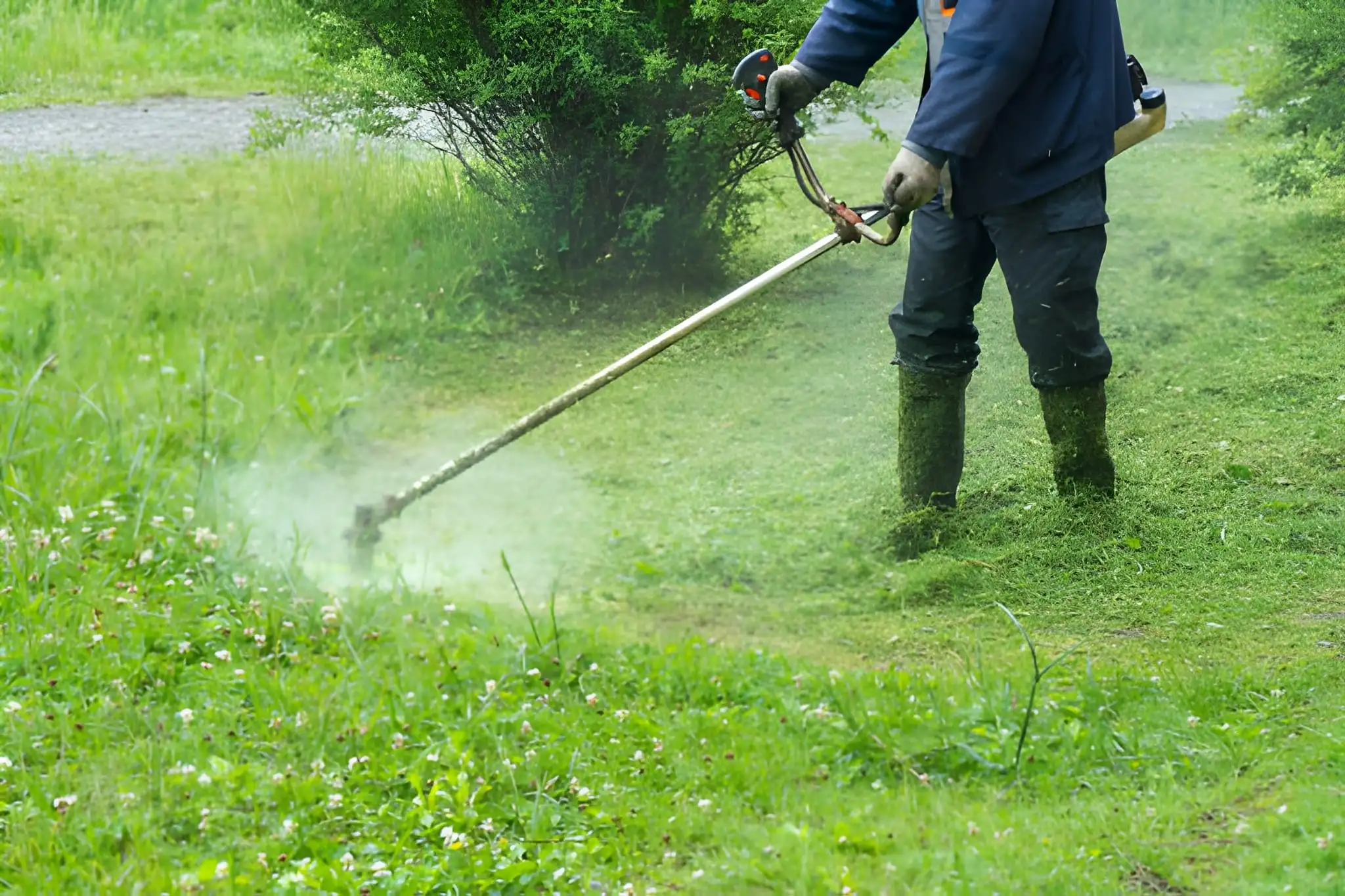 Garden maintenance in Sydney - garden bed tidy-up and edging